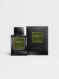 Men's Fragrances: Perfumes & Cologne | ZEGNA