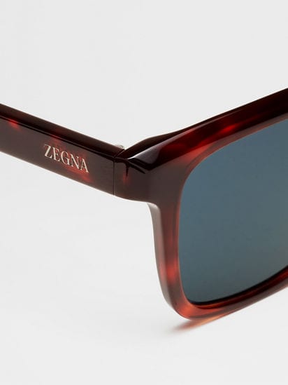 Zegna light discount havana glasses