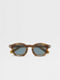Transparent Brown Havana