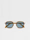 Transparent Light Brown Havana