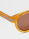 Brown Acetate Sunglasses Product detail photo #1