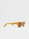 Brown Acetate Sunglasses Product detail photo #2