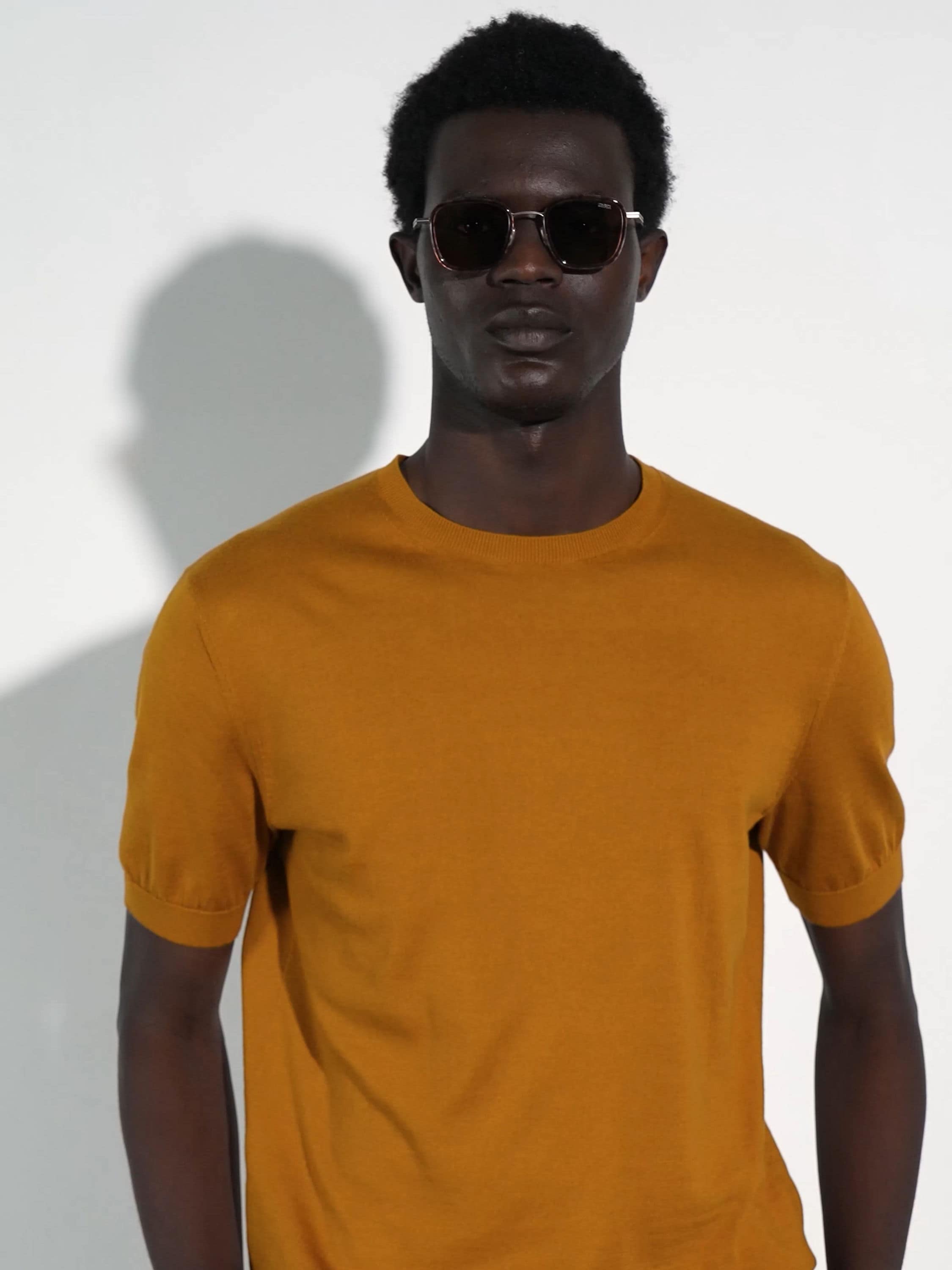 Havana Titanium and Acetate Sunglasses