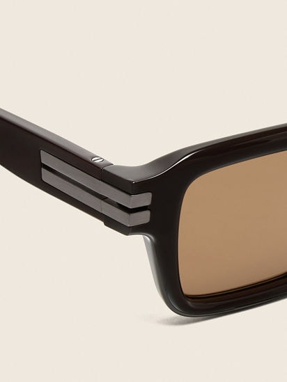 Dark Brown Acetate Sunglasses FW26 35887766 | Zegna US