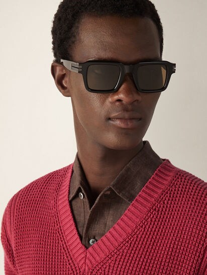 Dark Brown Acetate Sunglasses SS26 35887766 | Zegna IT