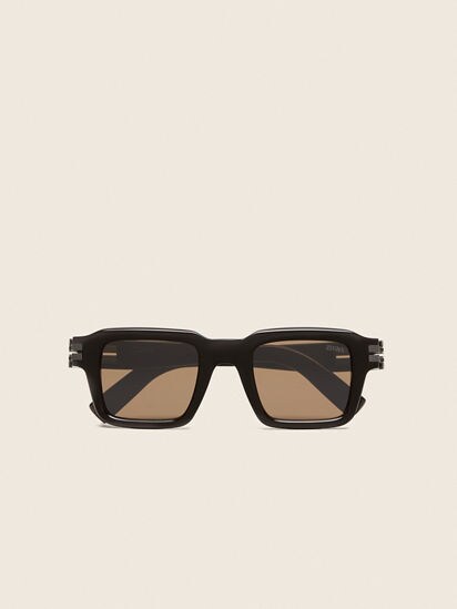 Dark Brown Acetate Sunglasses FW26 35887766 | Zegna US