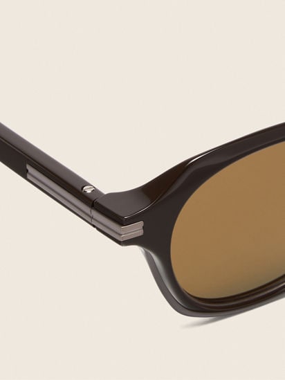 Dark Brown Acetate and Titanium Sunglasses FW26 35887781 | Zegna US