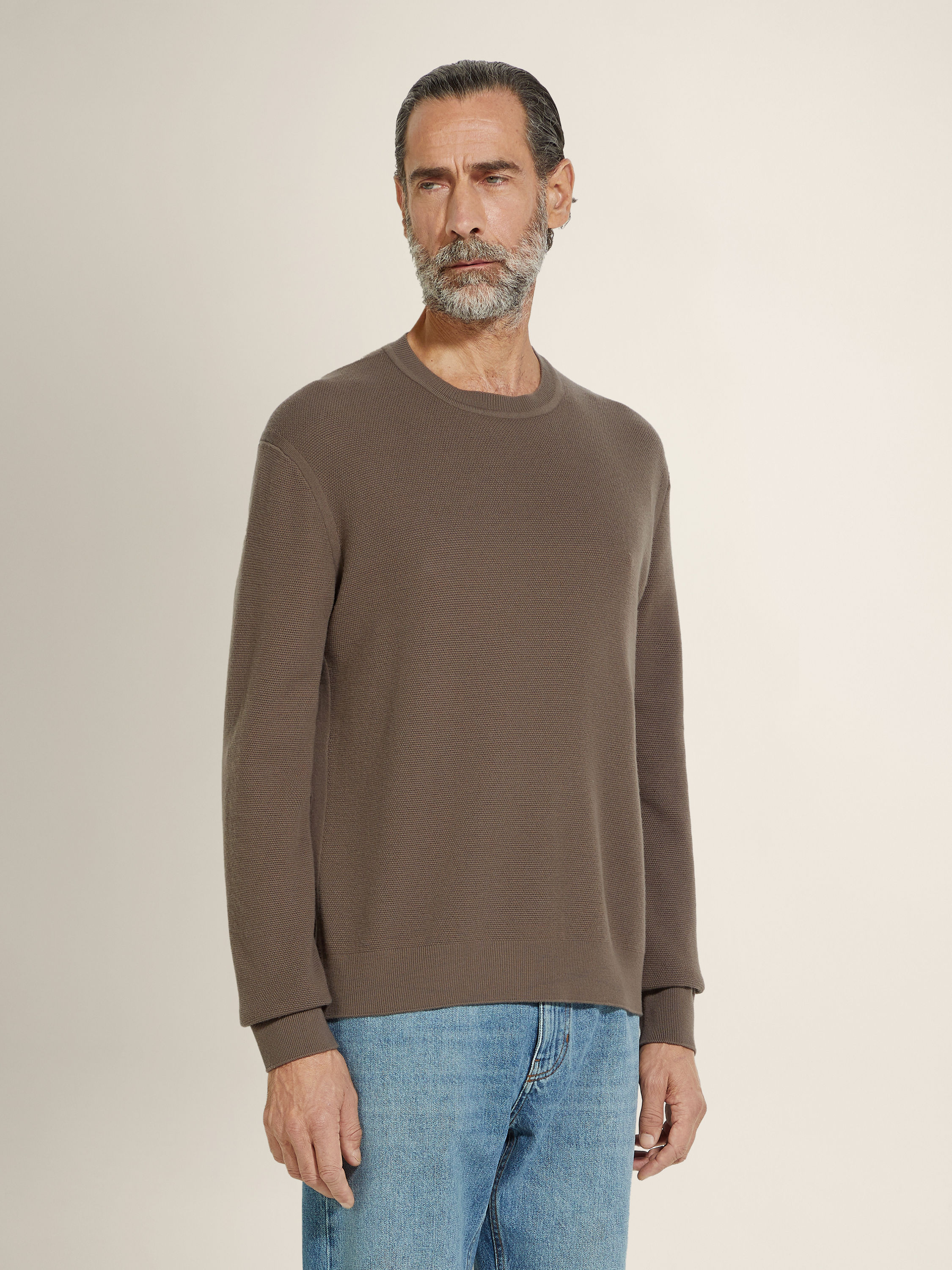 Dark Taupe Vellus Aureum Crewneck Product detail photo #3