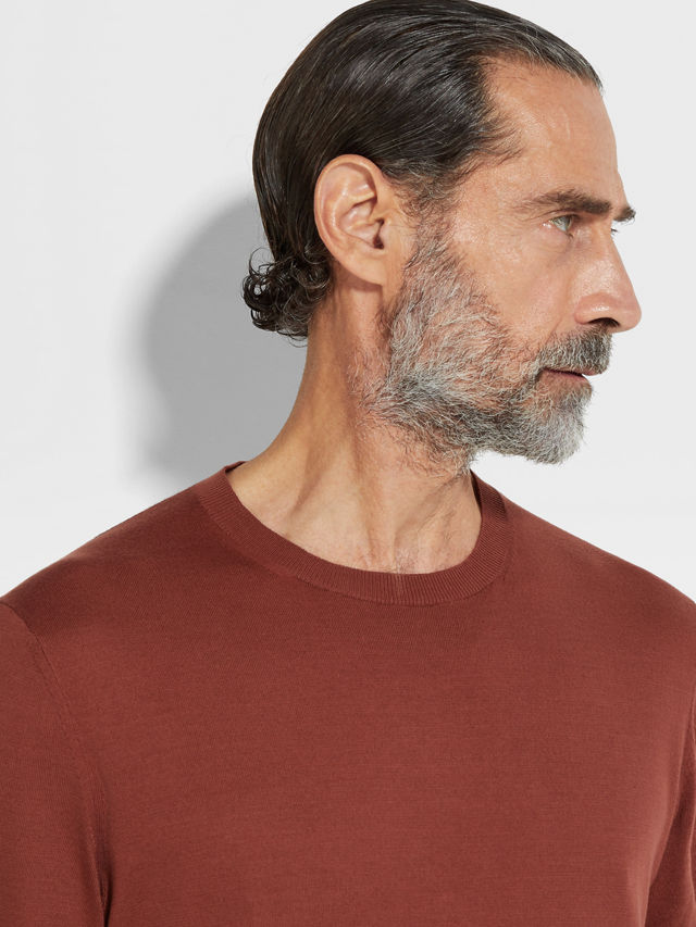 Brick Red Premium Cotton T-shirt Product detail photo #1