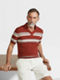Brick Red Light Blue and White Cotton and Silk Polo Shirt Product detail photo #2