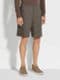 Dark Taupe Oasi Lino Shorts Product detail photo #4