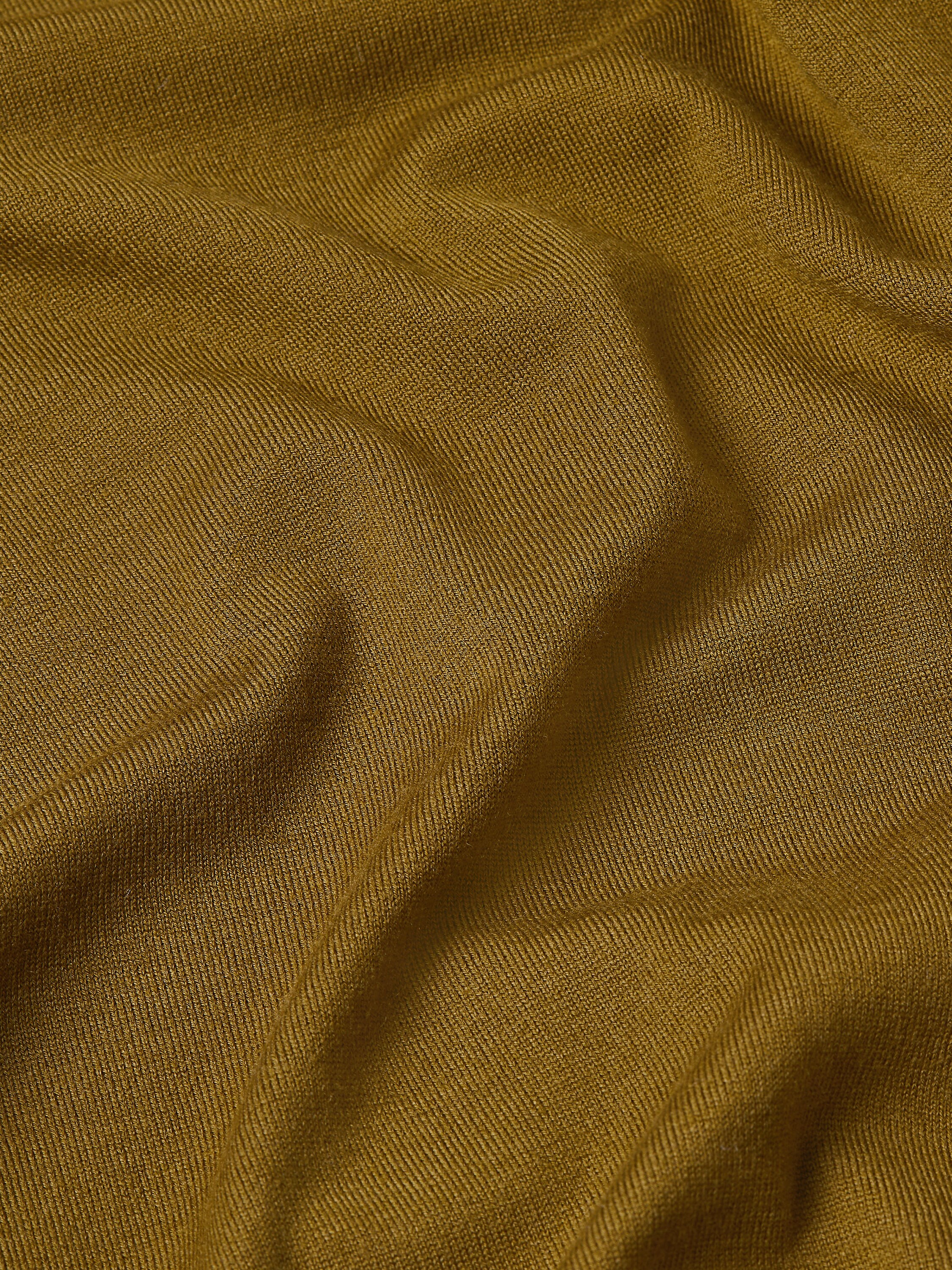 Olive Green Vellus Aureum Polo Shirt Product detail photo #3