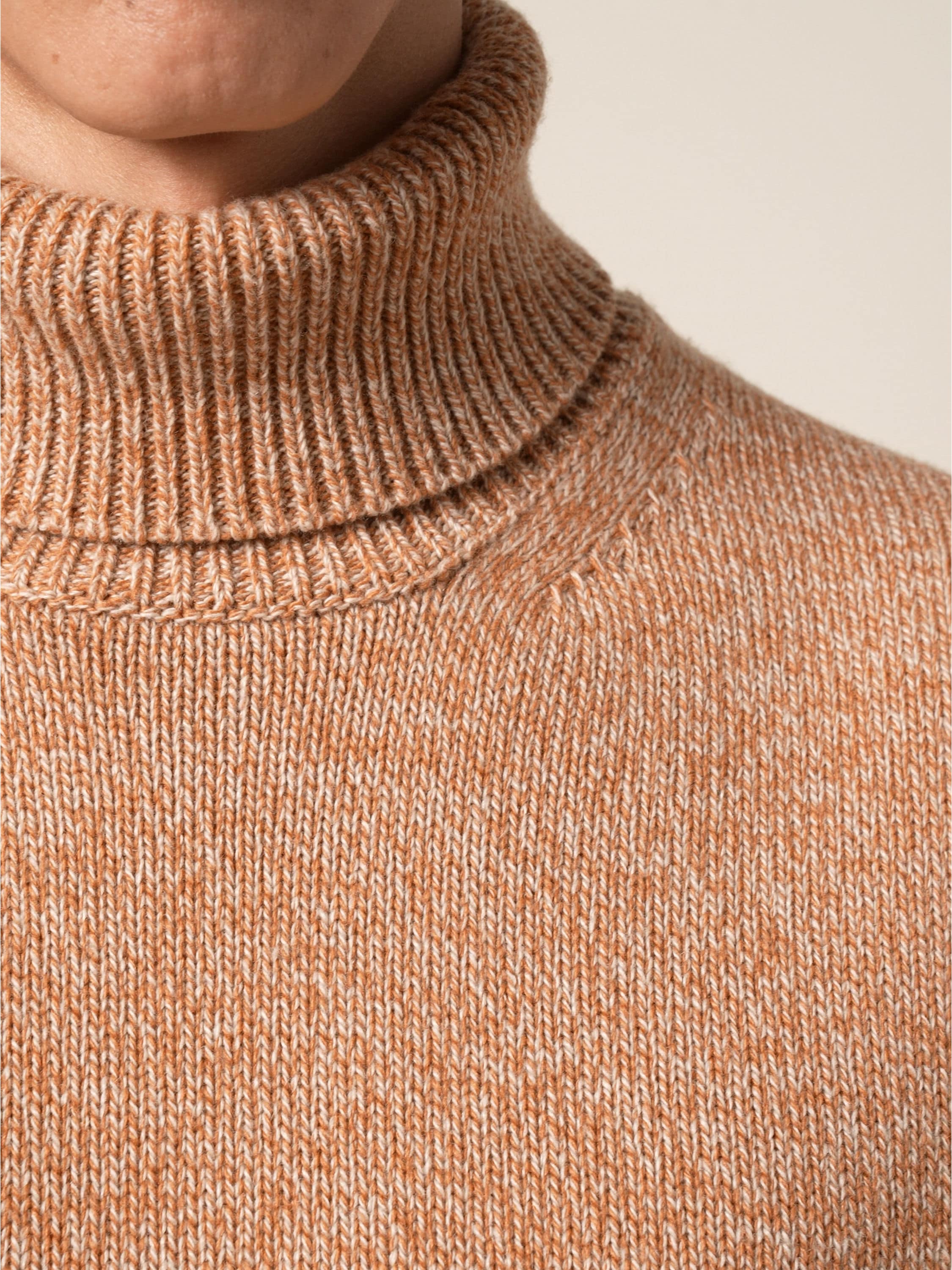 Light Beige Oasi Cashmere Turtleneck