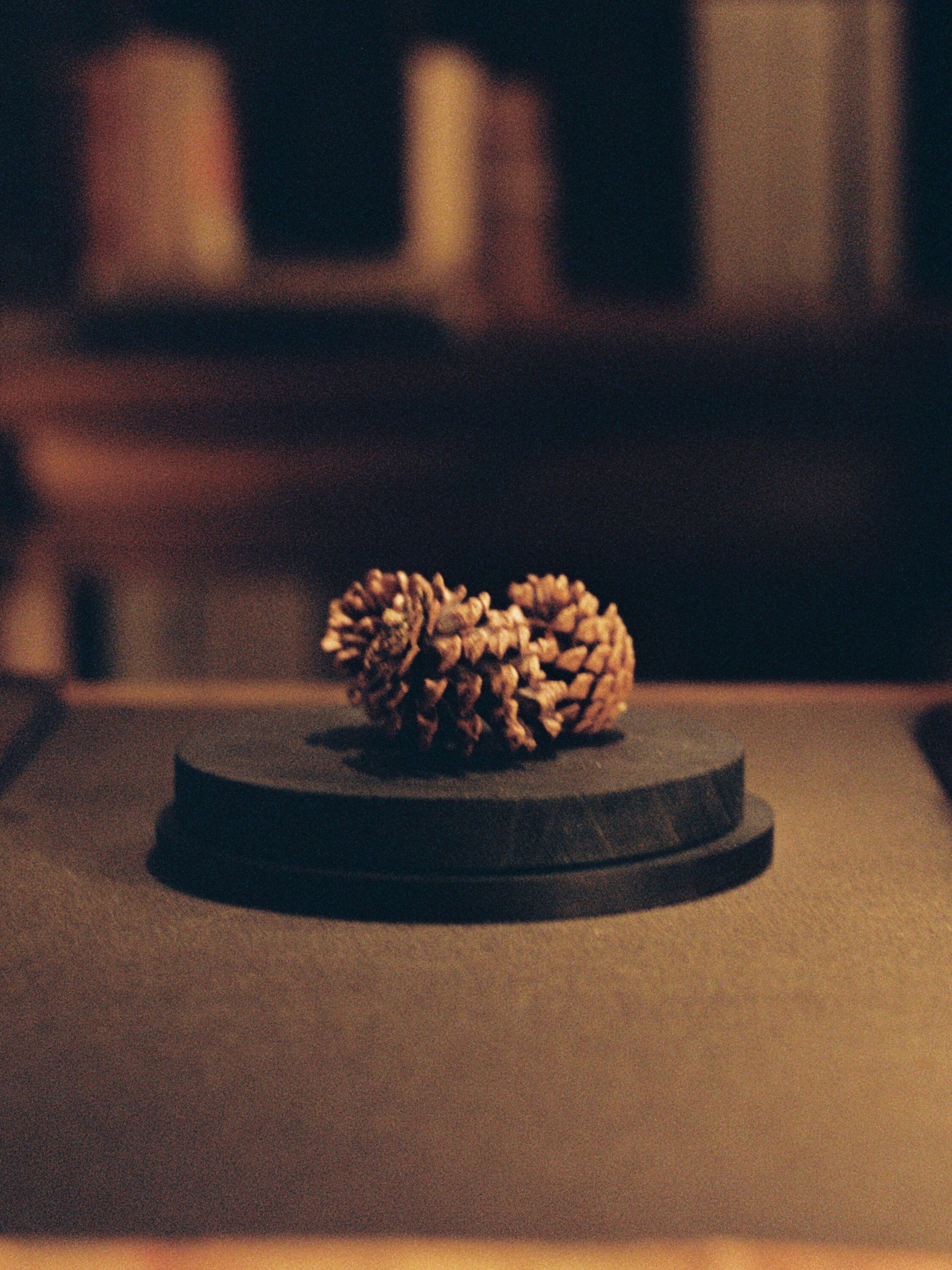 Il Sottobosco Eau De Parfum Product detail photo #1