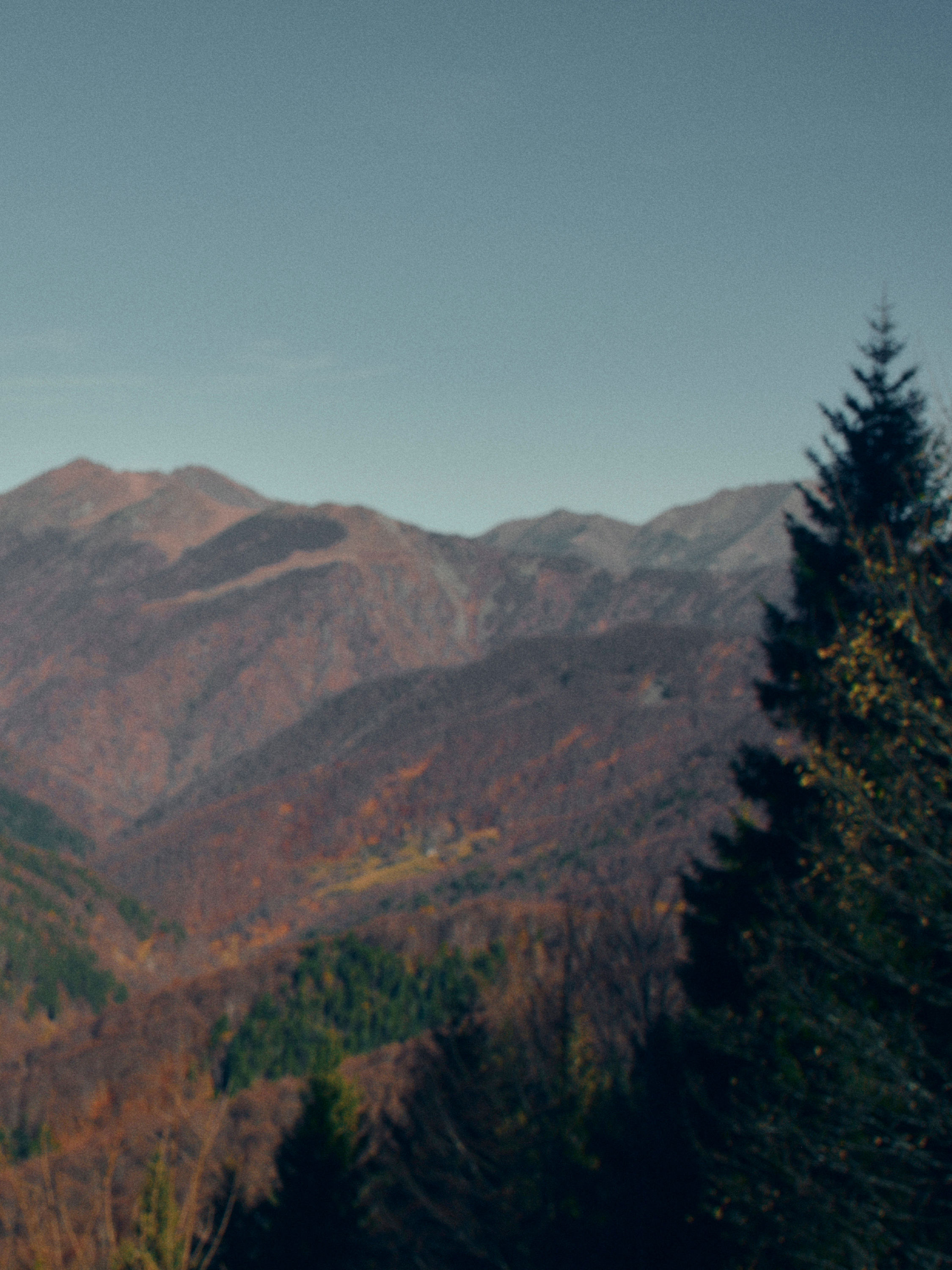 La Panoramica Eau De Parfum Product detail photo #1